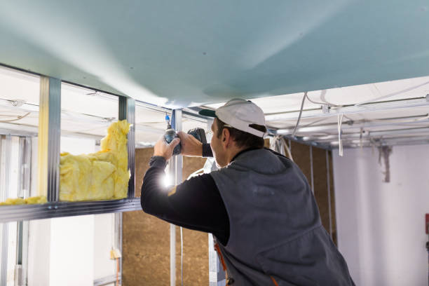 Best Insulation Replacement Services  in Columbia, SC