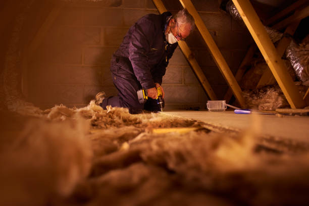 Best Home Insulation Services  in Columbia, SC